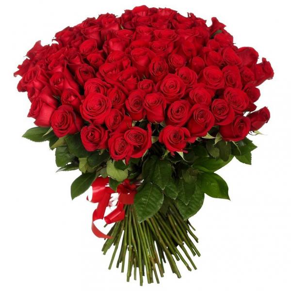 101 red roses. 101-red-roses-dz5.jpg