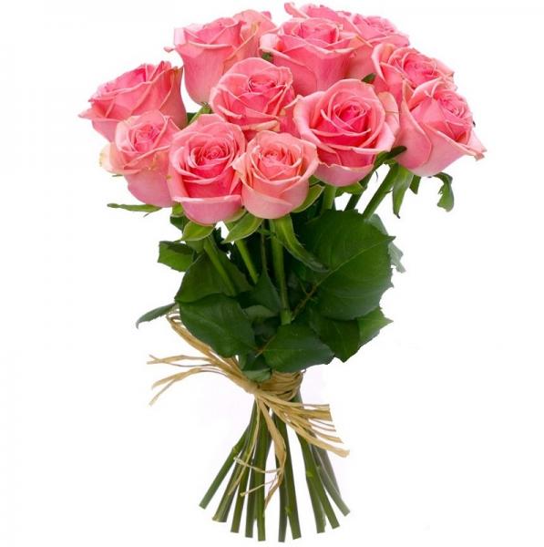 11 pink roses. 11-pink-roses-Wx5.jpg
