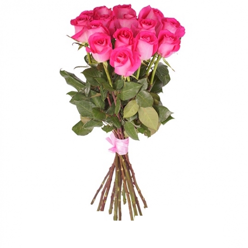 15 pink roses. 15-pink-roses-mCH.jpg