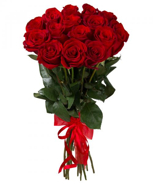 17 Red Roses. 17_Red_Roses-SN7.jpg