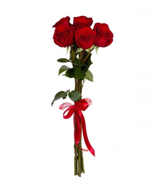 5 Red Roses. 5_Red_Roses-ysP.jpg