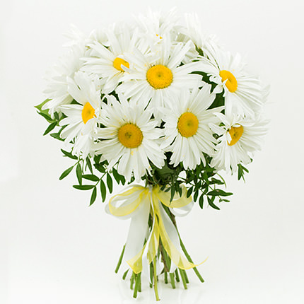 Chamomile romance. chamomile-romance-xw1.jpg