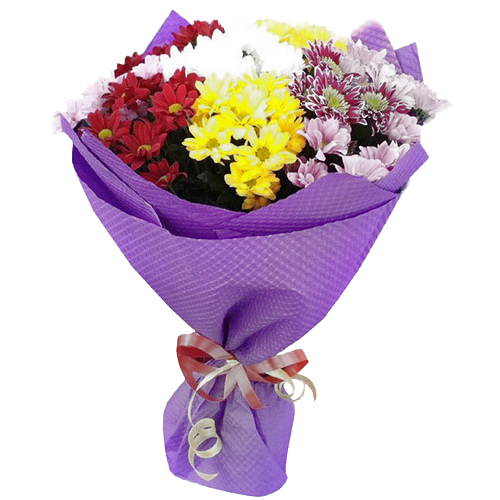 Chrisanthemum dance. chrisantemum-dance-ow7.jpg