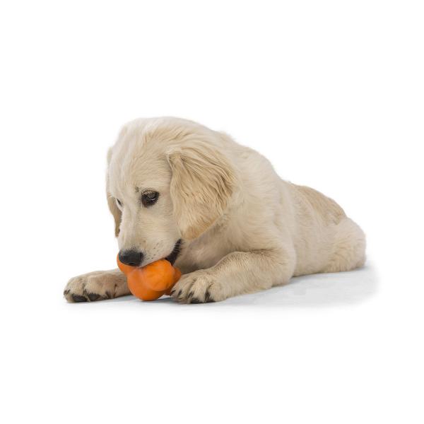 Toy for a small dog. toy-for-a-small-dog-rrb.jpg