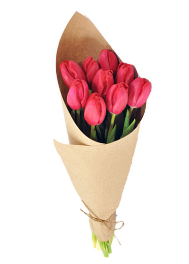 9 Tulips. tulips-257.jpg